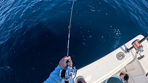 50K views · 312 reactions | Fighting the STRONGEST Fish in the Ocean on THIS !! | Southern Salt Fishing | Facebook