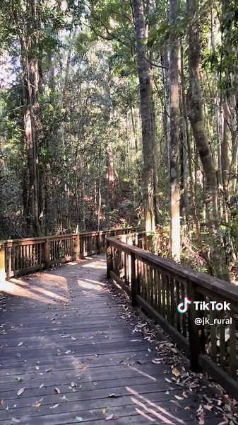 Buderim Falls Walk: Nature & Adventure Awaits