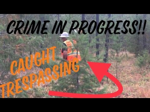 Trespasser CONFRONTED!!! 🚨language warning .