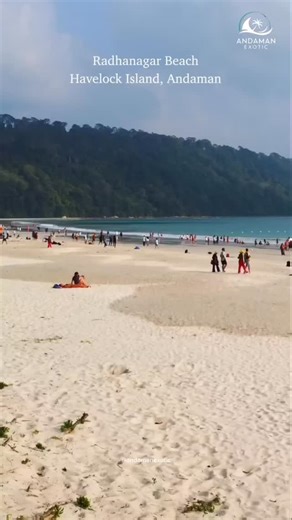 Andaman Tour on Instagram: "“Escape to the breathtaking shores of Radhanagar Beach, Havelock Island — where golden sands, turquoise waves, and serene landscapes create the perfect tropical getaway. Experience the magic of Andaman with Andaman Exotic — your trusted partner for luxury, adventure & unforgettable island memories.” #AndamanExotic #RadhanagarBeach #HavelockIsland #AndamanIslands #ExploreAndaman #TropicalParadise #BeachVibes #TravelAndaman #IncredibleIndia #IslandLife #NatureLovers #vi
