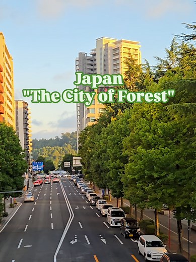 Discover Sendai: Japan's City of Forests and Green Spaces