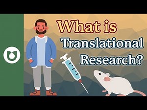 What is translational research?