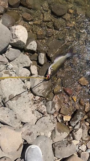 Jorge Trujillo on Reels