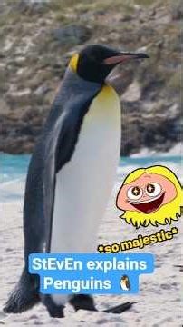 Penguins Poop Every 20 Minutes?! | StEvEn’s Nature Show