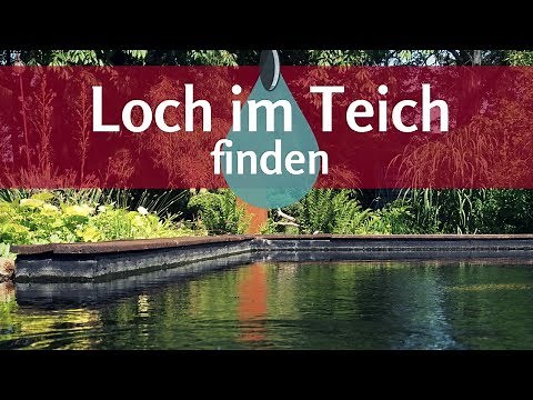 Undichter Teich? So findet man einfach das Loch in der Teichfolie