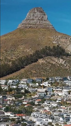 Experience Mojo Market | Food, Music & Events in Cape Town