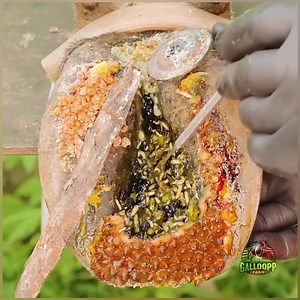 33K views · 102 reactions | Solving Various Hoof Problems: Removing Stuck Nails from a Cow Bagian 4 | Connor Rogers | Facebook