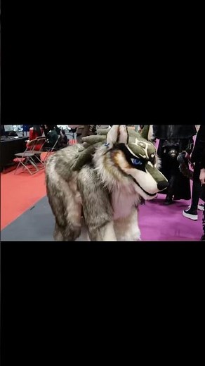 Wolf-Link #wolflink #zelda