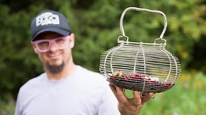 Forage: How to harvest wild chokecherries and use them to put a summery spin on everyone's fave — butter tarts!
