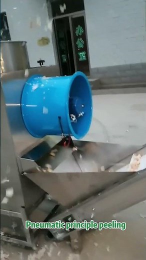 Boost Garlic Business Profit with Gondor Automatic Garlic Peeling Production Line | Fast & Efficient