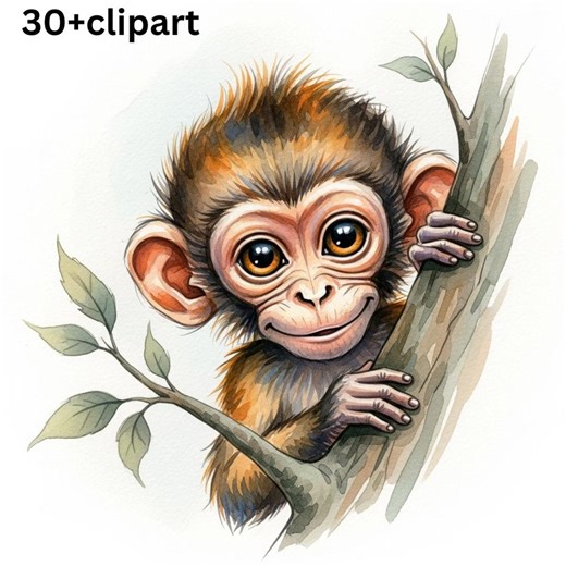 Baby Monkey Clipart Bundle Watercolor | Cute Baby Animal Nursery Decor PNG | Jungle Safari Animals Clip Art | Kids Birthday Sublimation - Etsy