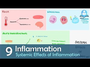 Systemic Effects of Inflammation