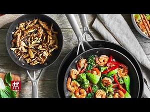 About The Motion Cookware Series | ZWILLING