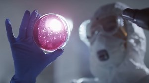 What Happens When Humans Play God With Extinction