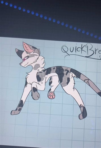 RainbowDash as QuickBreeze: Warrior Cat Design