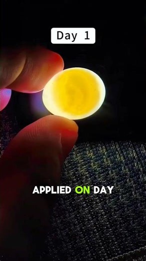 Baby Parrot Born from Egg | Full Growth Timeline