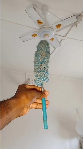 ​The Ultimate Fan Cleaning Hack You Need to Try