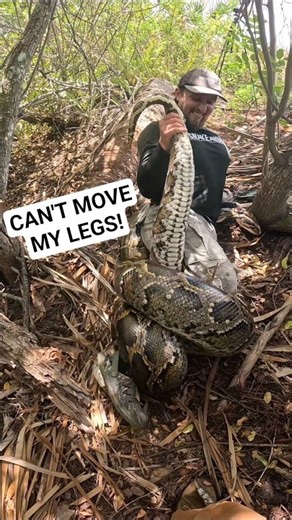 WRAPPED UP BY GIANT PYTHON!