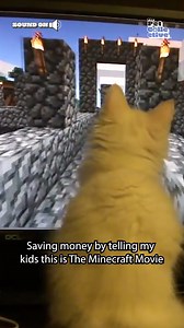 "Chicken jockey? Is that a treat?" 😻👾🤣 #Cats #CatLovers #Kittens #Minecraft | Fur Family