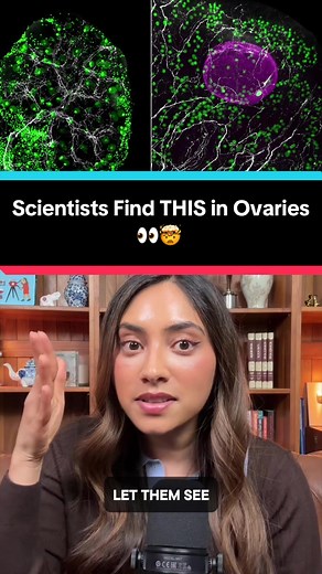 Nerves Discovered in Ovaries: New Clues to Ovarian Aging