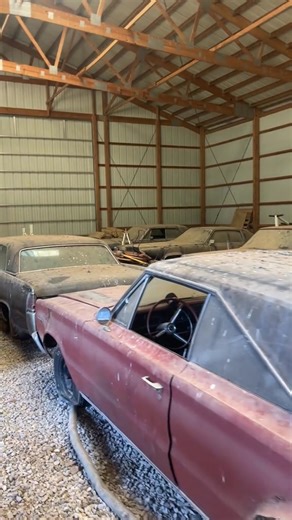 Abandoned cars barn find 😍 #abandoned #cars #oldcars #musclecar #barnfind #americanmuscle | Old Truck Enthusiasts