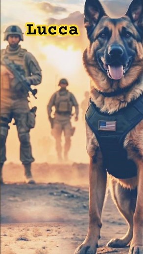 Lucca: The 3-Legged Hero Dog Who Saved Lives in War | Real Story of Courage#Lucca #hero