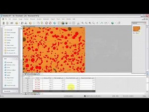 MicroVisual - Particle Analysis (General) with iSolution DT