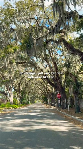 Nothing like a drive through one of Florida’s most photographed streets. #staugustinelife