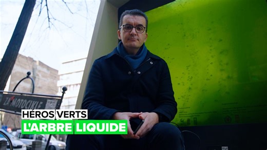 Des arbres liquides pour assainir l'air
