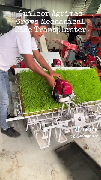 Innovative 6-Row Mechanical Rice Transplanter in Action