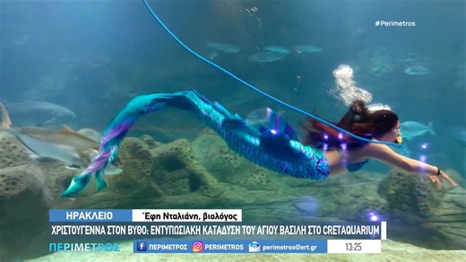 Ηράκλειο: Χριστούγεννα στον βυθό - εντυπωσιακή κατάδυση του Αγίου Βασίλη στο Ενυδρείο Κρήτης