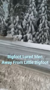 76K views · 891 reactions | Bigfoot Lured Men Away From Little Bigfoot | Bigfoot Evidence | Facebook