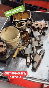 21K views · 467 reactions | A couple Delphi CAV Pumps we tore down yesterday. Cooter says it has Barnacles, & Mud in them. It takes twice as long to clean these pumps. No worries we will get them Rebuilt, & back to pumping Fuel, Not Barnacles! #cootertuned #sugarbuttstudios #andrewtuned #dialedindiesel #northeastdieselservice #Northeastdiesel #localspringfield #johndeere #dieselfuel #barnacles #delphi #dieselfuelinjectionrepair | Northeast Diesel Service of Springfield | Facebook