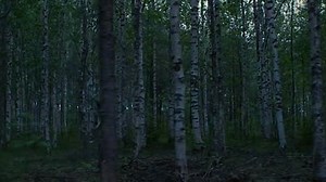 Flocken (2015) Leg.