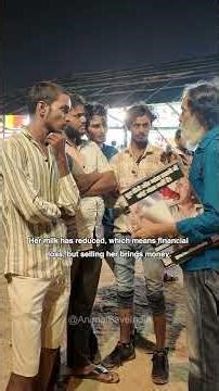 Dairy = Beef? The Hidden Connection