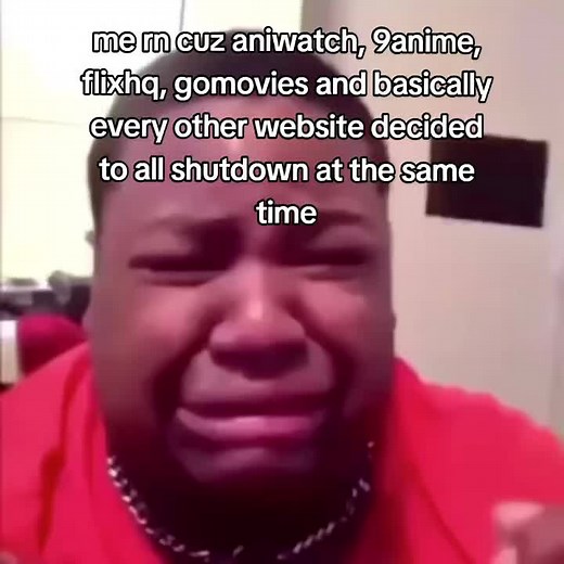 Anime & Movie Sites Shutdown: Aniwatch, 9anime, FlixHQ & More Down