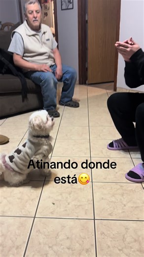 mariposa 🦋 (@raquelmtz72)’s videos with The Benny Hill Show - The Edwin Davids Jazz Band