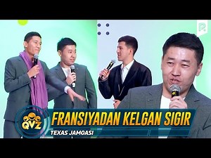 QVZ 2022 | Texas jamoasi - Fransiyadan kelgan sigir