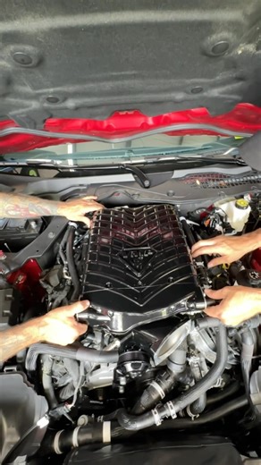 7.7K views · 171 reactions | It’s going down in the shop! We’ve had...