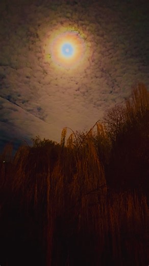 Mustafa özbey on Instagram: "Ez reviya riya durım 😢💔❤️‍🩹"