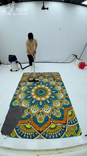 Carpet Cleaning Transformation: Satisfying Before & After
