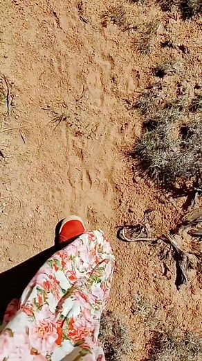 The Fight for American Indian Rights: Russell Means' Powerful Senate Testimony