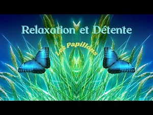 Relaxation et Détente, les Papillons,video de papillons,papillons qui s envolent,