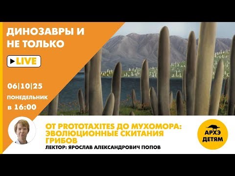 Занятие "От Prototaxites до мухомора: эволюционные скитания грибов" с Ярославом Поповым