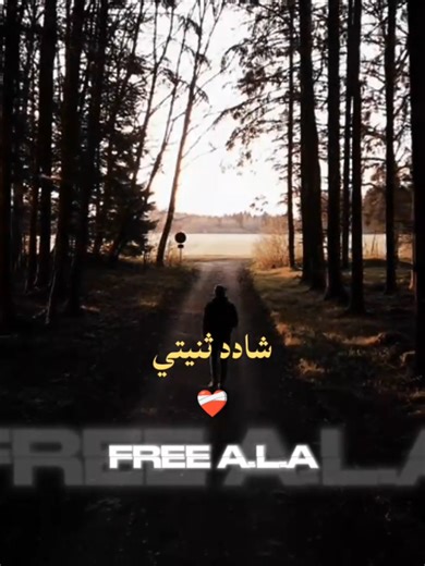 Exploring A.L.A: Tunisian Rap Music Insights