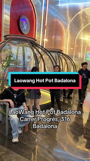 Descubre Laowang HotPot: Buffet Libre en Badalona