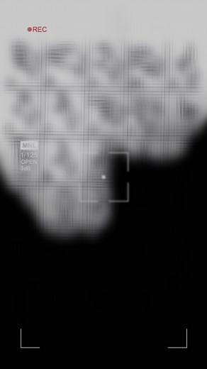 Hand Gestures Alphabet: Visual Learning Guide