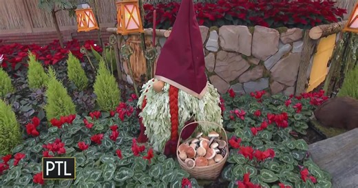 Stepping into a world of wonder at Phipps Conservatory