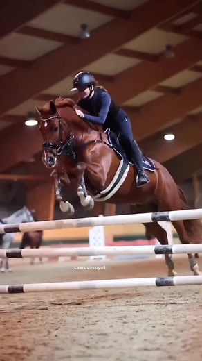 just a capcut edit cause i don’t have much time to edit… || @Carovin und Leo❤️