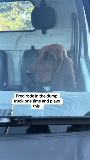 Life as a Truck Driver: Insights and Experiences